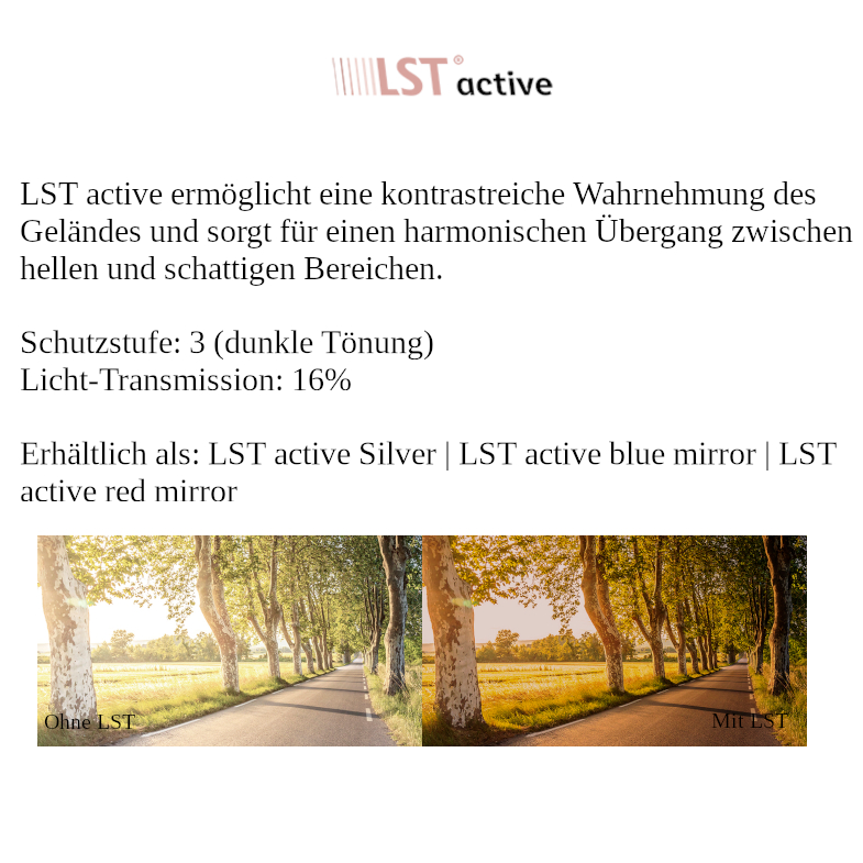 elate.t Wechselgläser LST active silver S